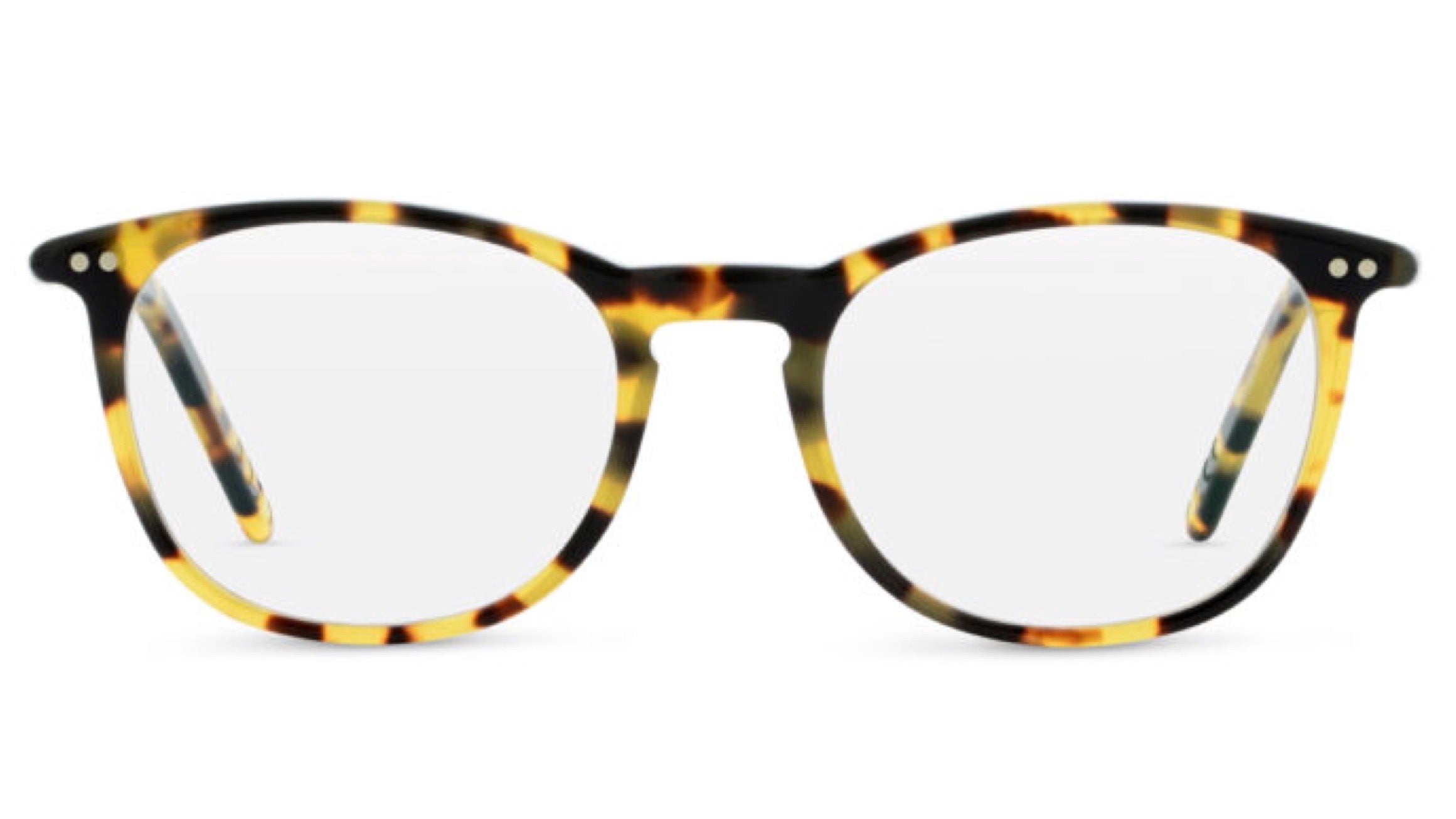 A5 234-Tokyo Tortoise
