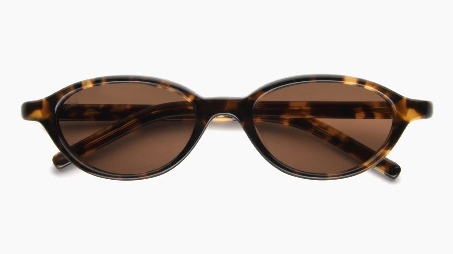 ALIEN-Tortoise / Brown