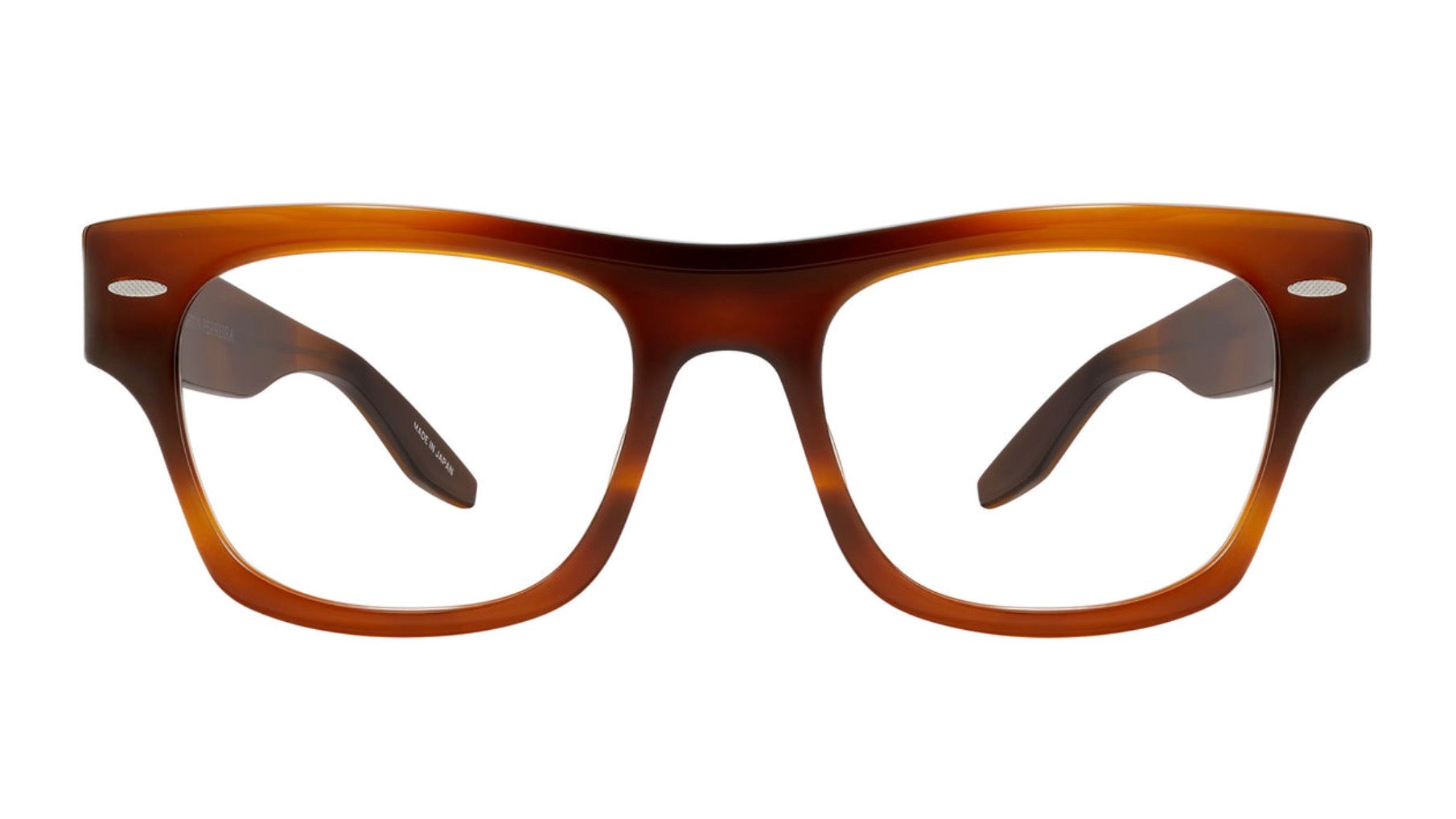 BLACKWELL-Monarch Tortoise