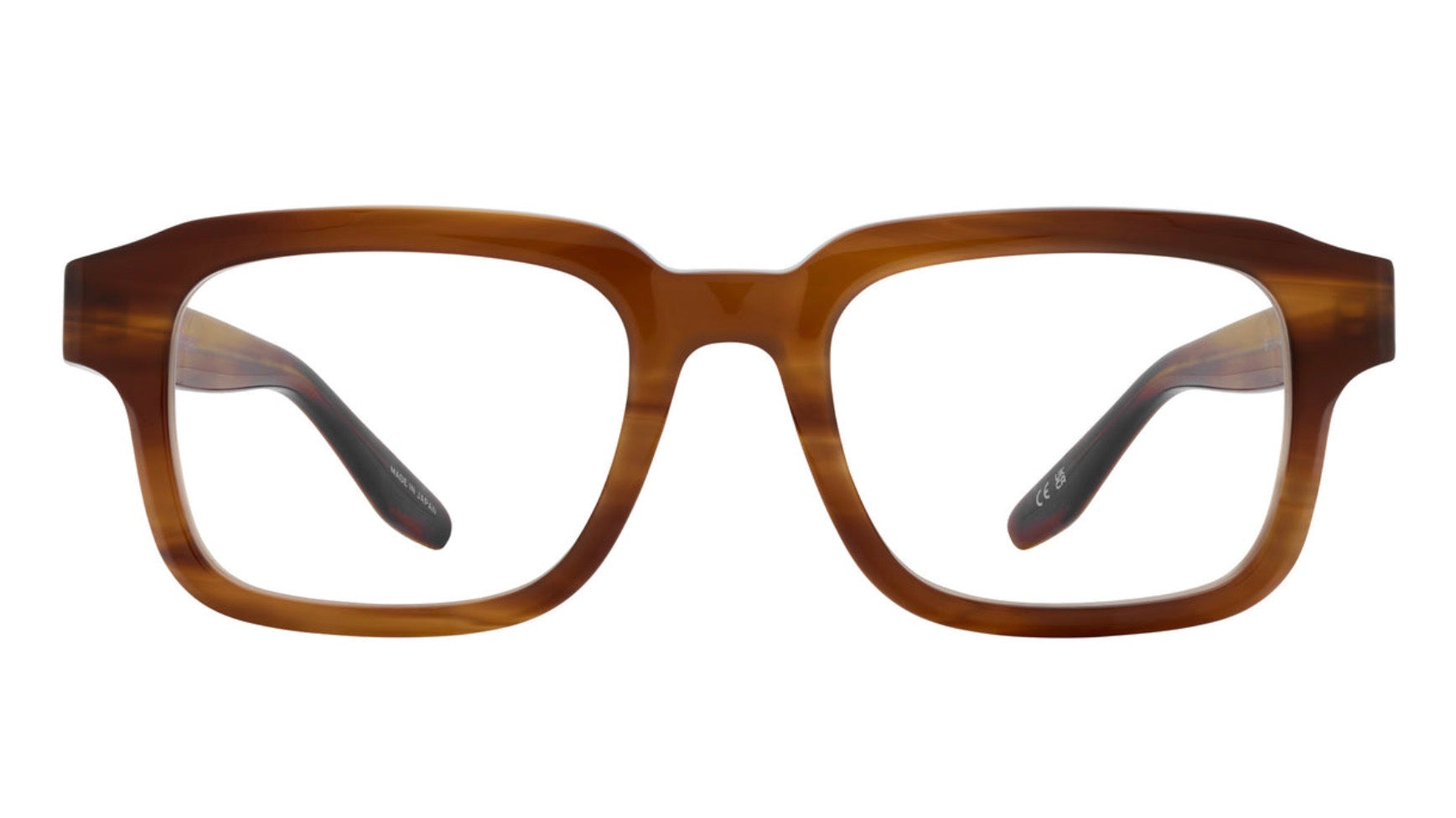 COELHO-Umber Tortoise