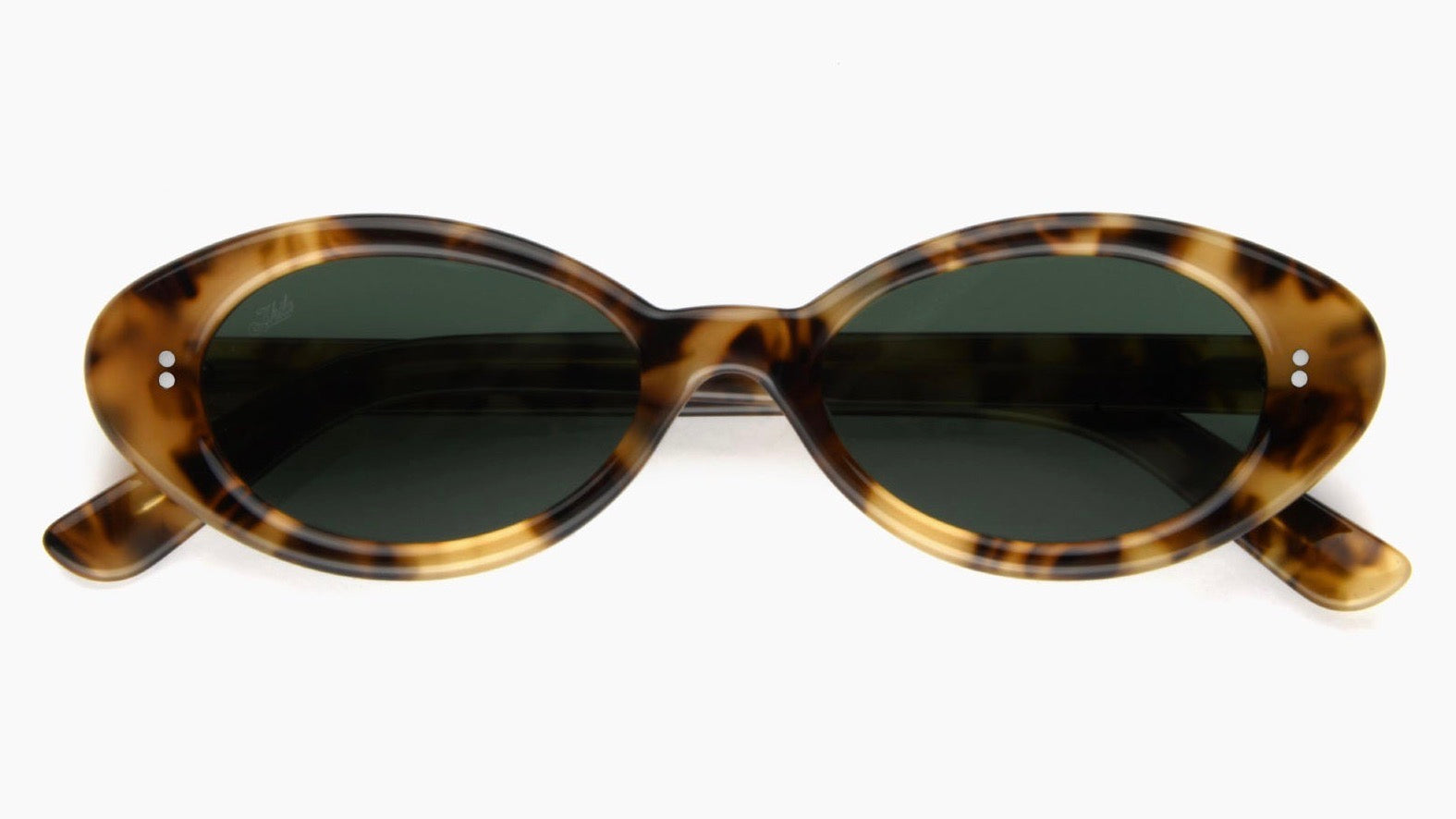 DAISY-Tortoise / Green