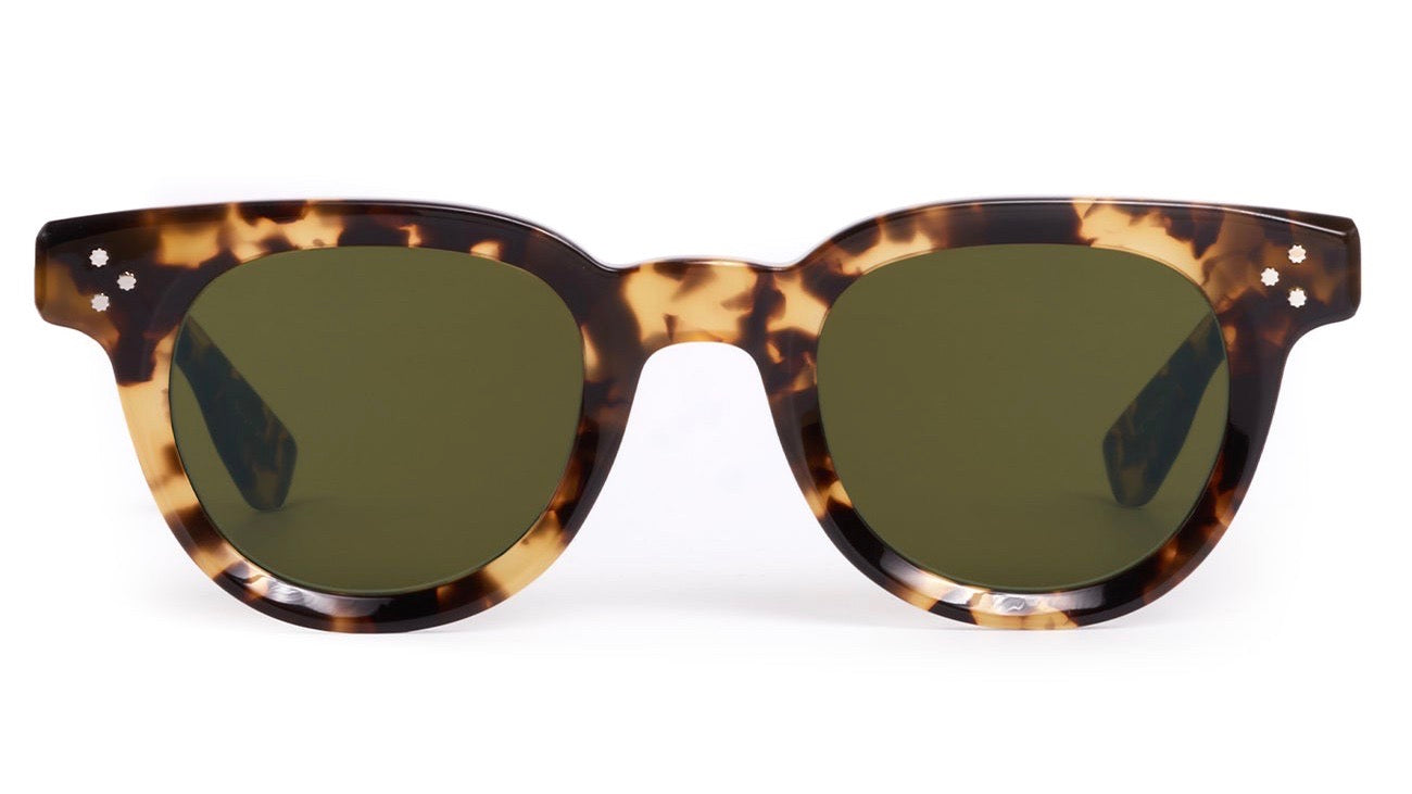 DEVON-Nikko Tortoise