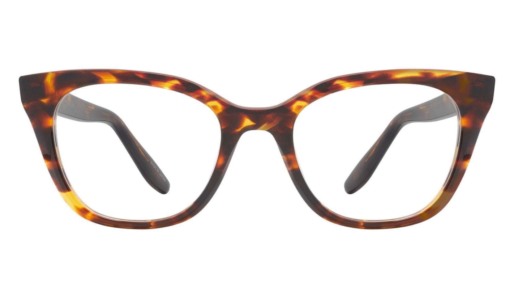 GINNIE-Classic Tortoise
