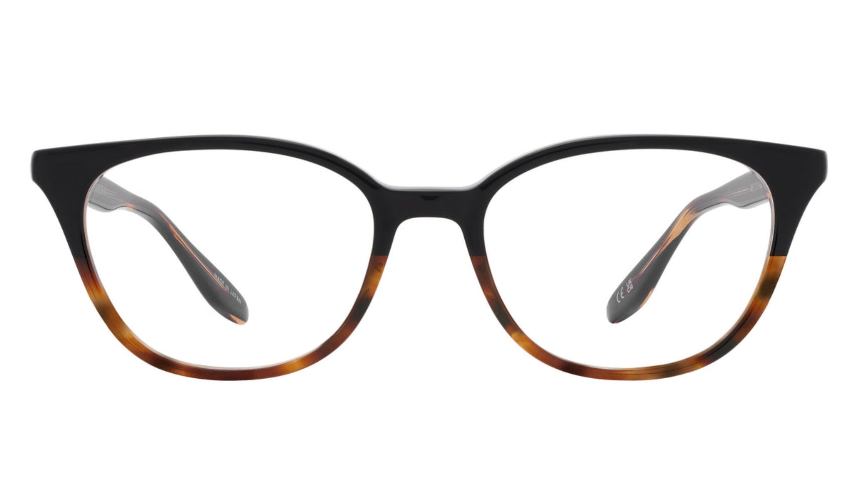 IRENA-Raven Tortoise Gradient