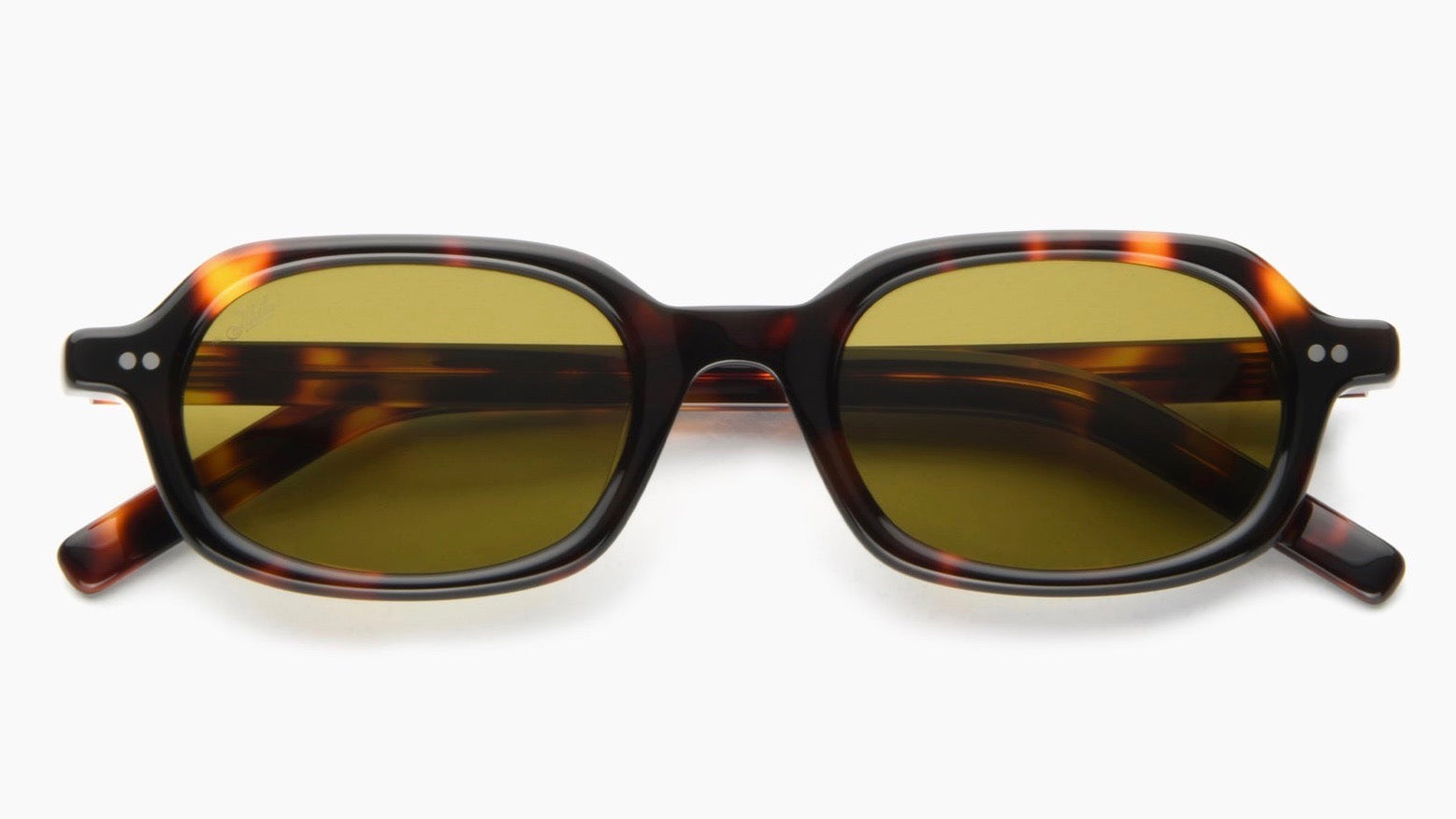 PSYCHE-Tortoise / Brown