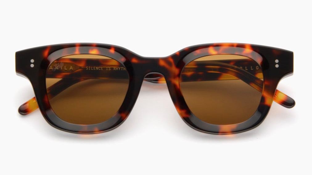 APOLLO-Tortoise / Brown